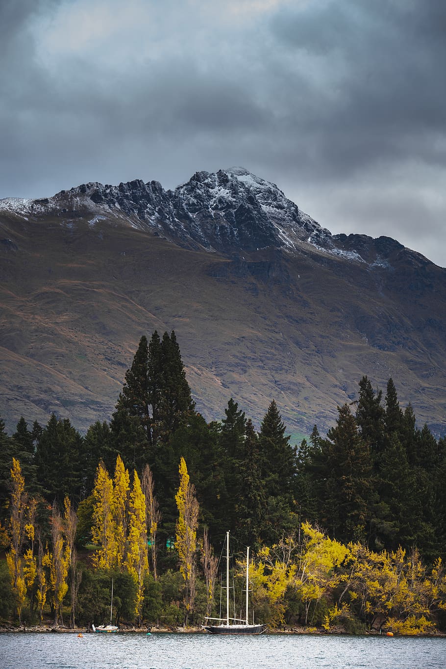 mountain surrounded by pine trees, nature, forest, new zealand HD wallpaper