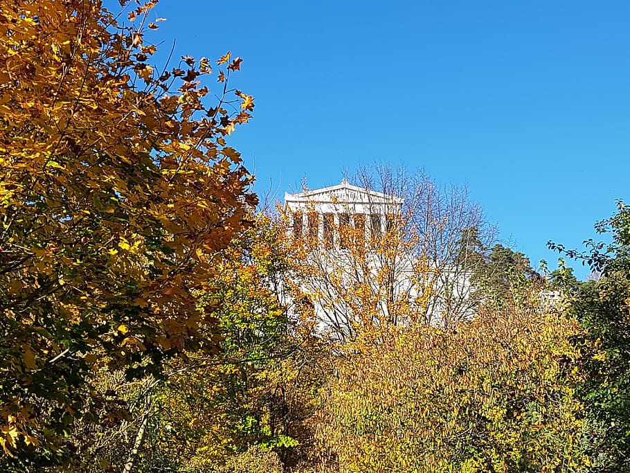 building, plant, tree, architecture, urban, regensburg, walhalla HD wallpaper