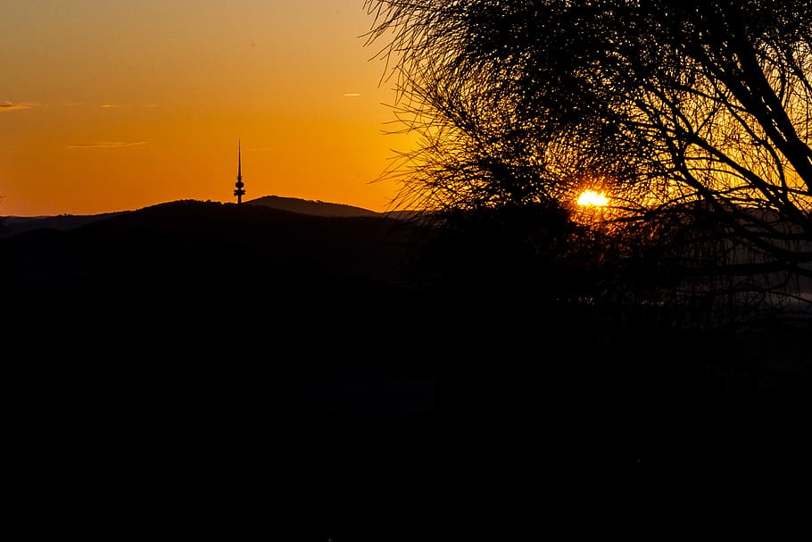 australia, canberra, silhouette, sky, sunset, no people, tree HD wallpaper