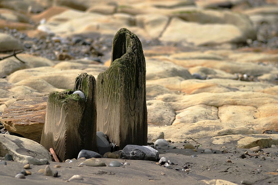beach, coast, eroded, erosion, groyne, rocky shore, coastal HD wallpaper