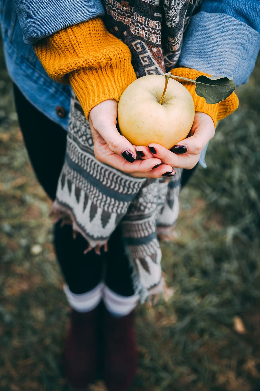 person holding apple fruit, bokeh, blur, hands, fall, autumn HD wallpaper