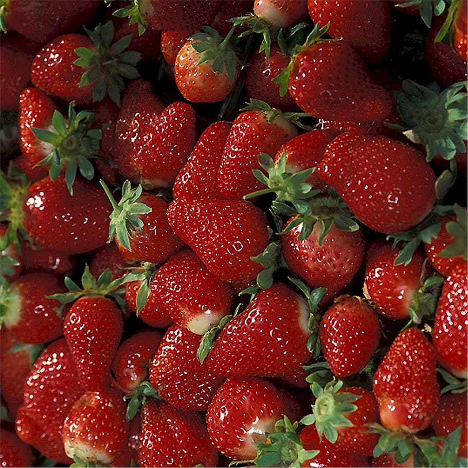 fresh, fruit, nature, red, sweet, berries, strawberries, berry fruit HD wallpaper