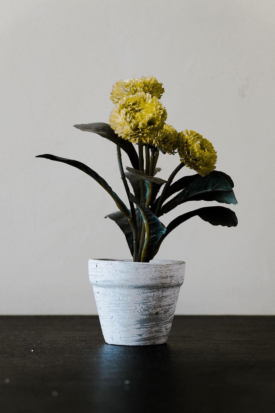 yellow, vase, nature, tree, flowers, plant, flowering plant HD wallpaper