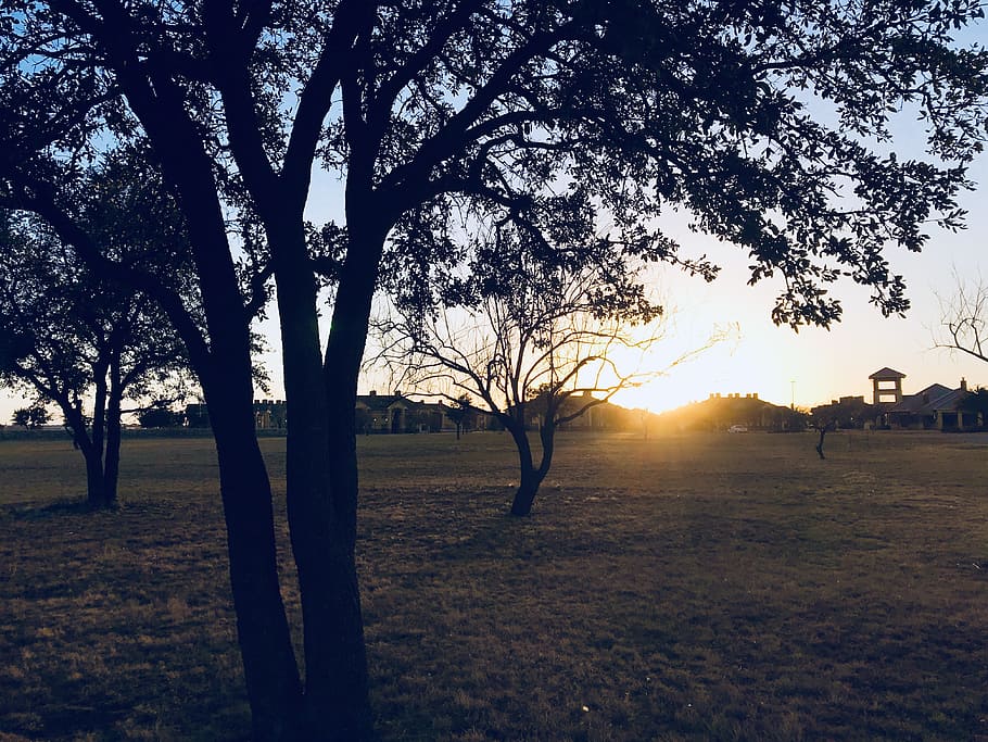 Green Grass Field during Sun Set, backlit, clouds, countryside HD wallpaper