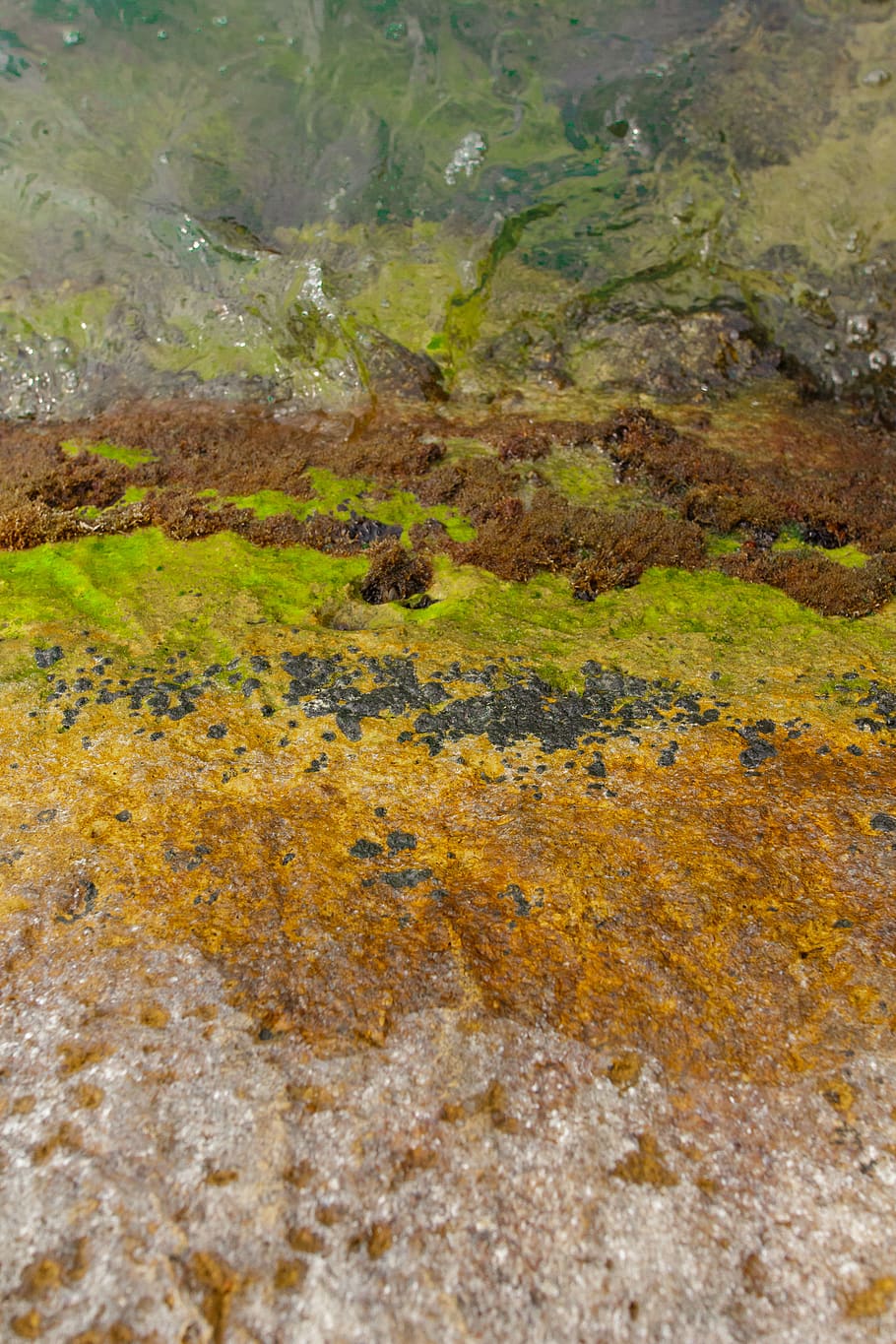 pattern, colors, moss, beach, stone, environment, water, no people HD wallpaper