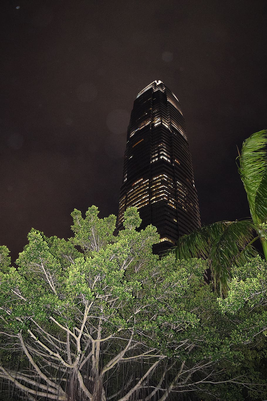 hong kong, central, trees, skyscraper, architecture, skyline HD wallpaper