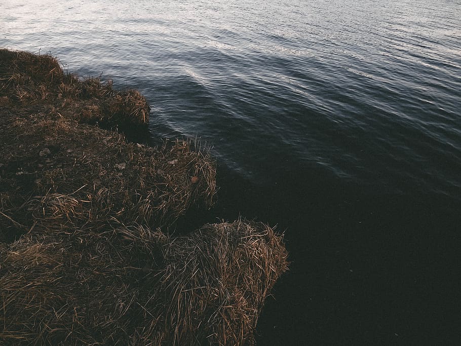 grass, lake, water, spring, sea, high angle view, beauty in nature HD wallpaper