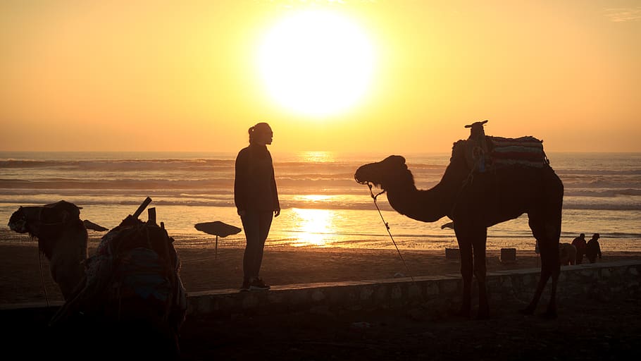 morocco, sunset, dusk, evening, water, ocean, sea, waves, beach HD wallpaper