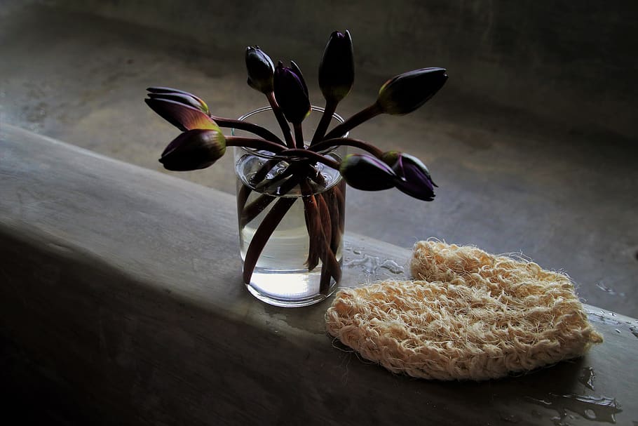 cup, bouquet, bathroom, concrete, wet, still life, closeup HD wallpaper