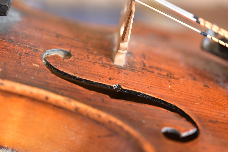 violin, f-hole, strings, web, wood, musical instrument, wood - material