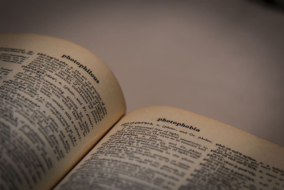 opened beige book, old book, reading book, vintage book, dictionary HD wallpaper