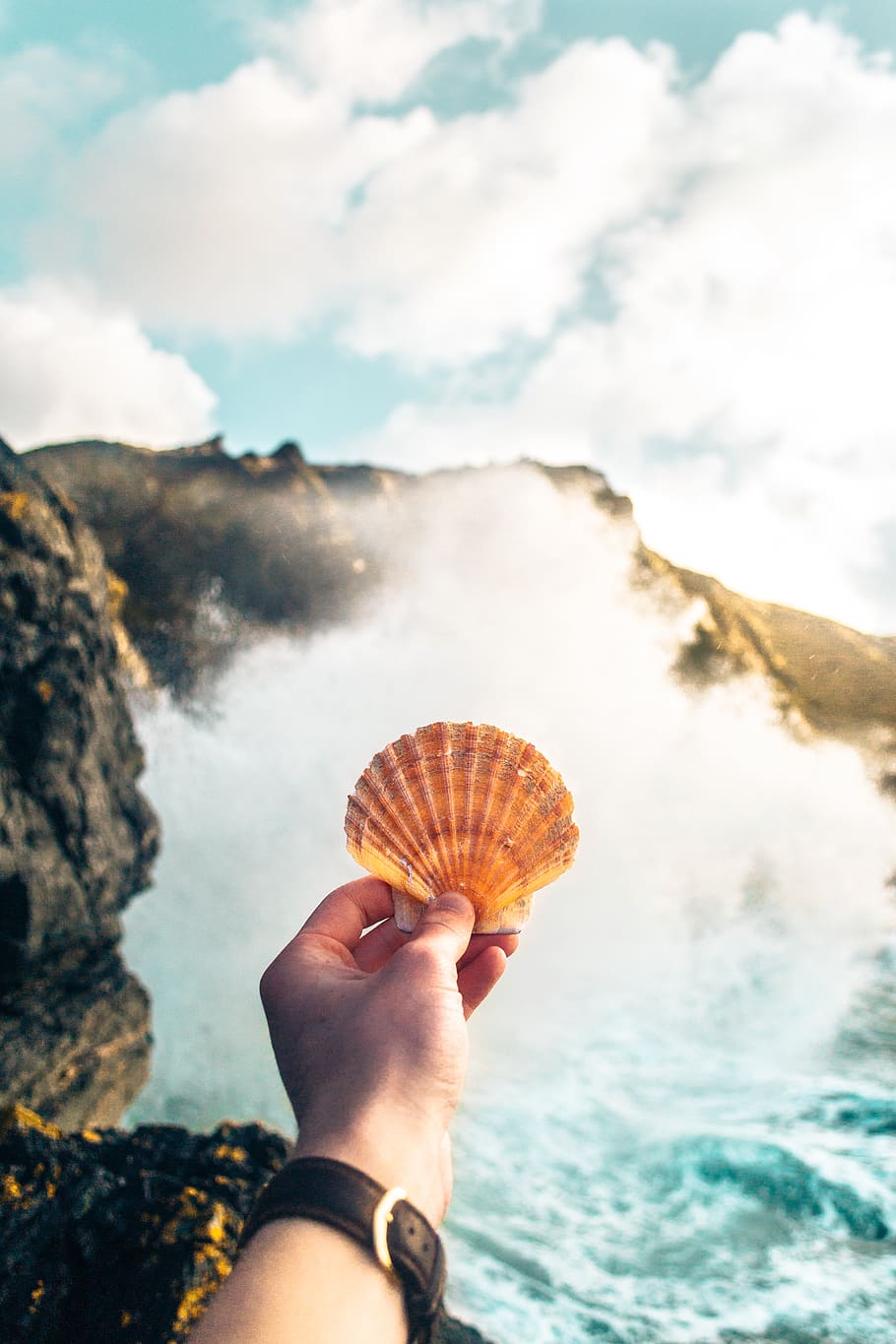 clam, shell, hand, arm, watch, sea, ocean, water, waves, nature HD wallpaper