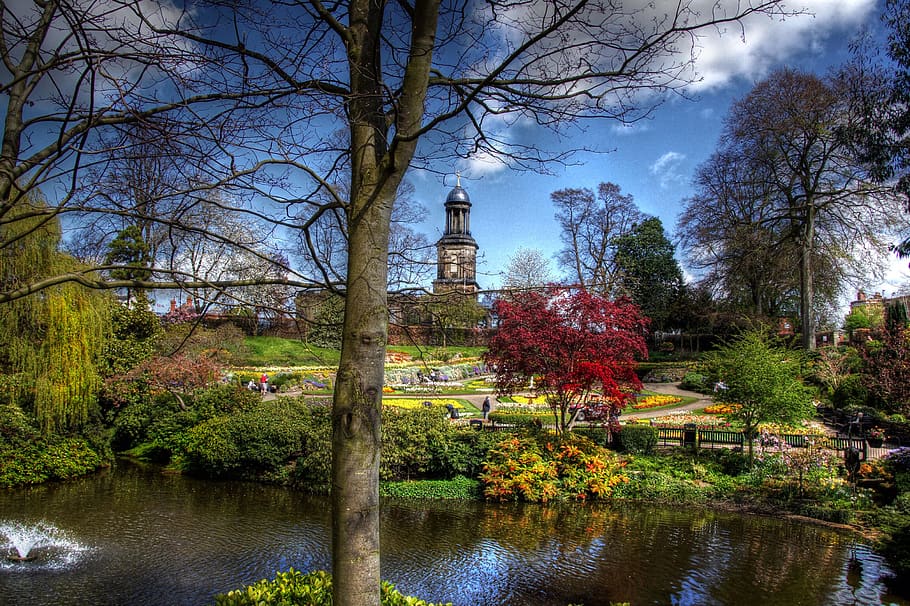 shrewsbury, shropshire, town, tree, water, plant, nature, reflection, HD wallpaper