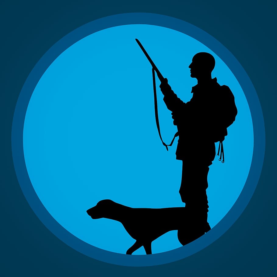 Silhouette illustration of hunter with a hunting dog., adult, HD wallpaper
