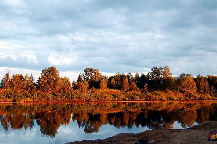 Photo of Trees Near the Lake during Daytime, clouds, forest, nature HD wallpaper
