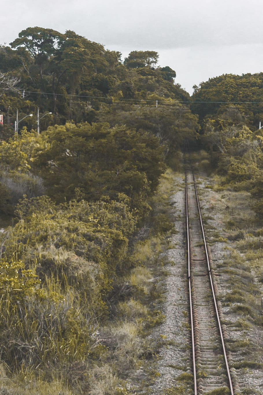 Close Up Photo of Train Railings in Between Trees, clouds, daylight HD wallpaper