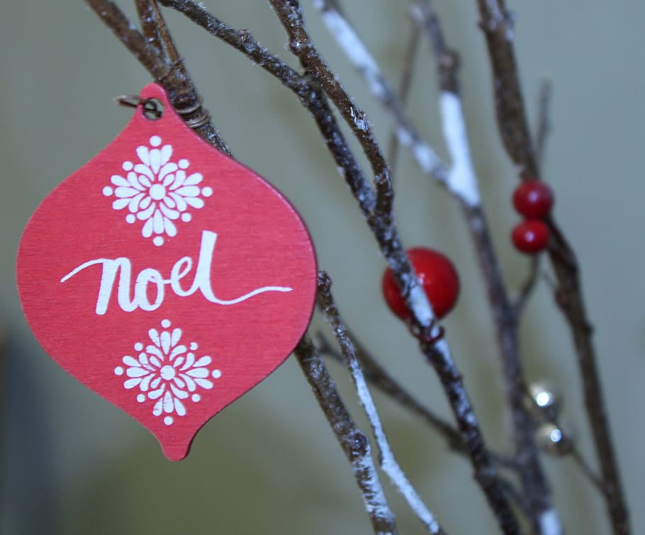 Red and White Noel Print Decor, branches, close-up, colors, design HD wallpaper