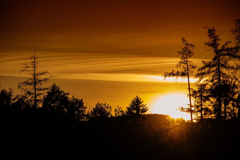 sunset, landscape, twilight, tree, dusk, autumn, atmospheric HD wallpaper