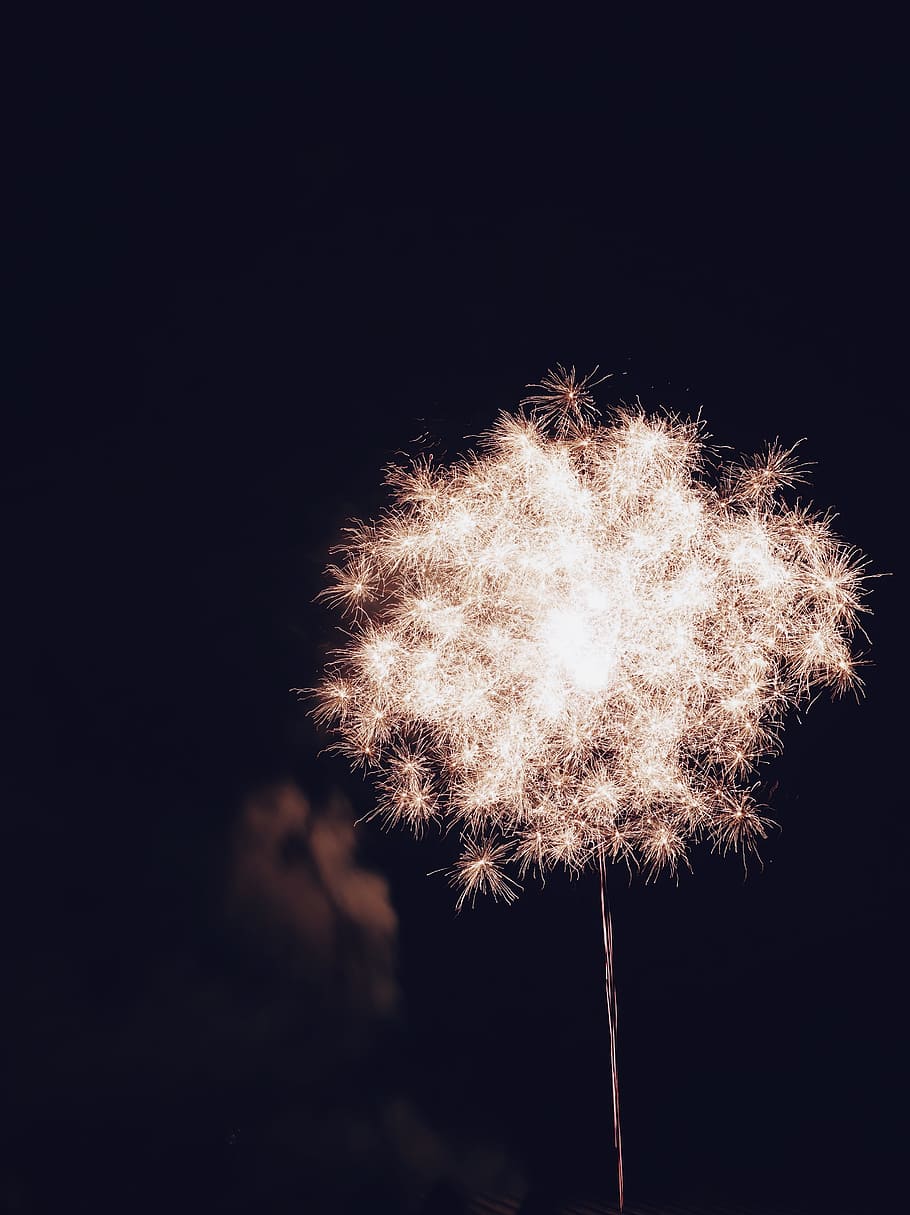 white dandelion, celebration, night, exploding, backgrounds, bright HD wallpaper