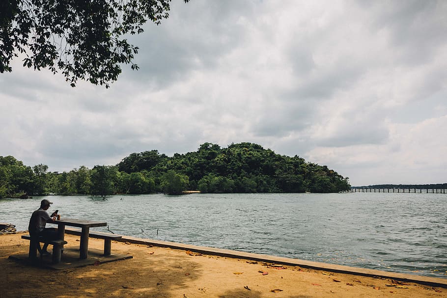 singapore, pulau ubin, alone, water, beach, islandlife, trees, HD wallpaper