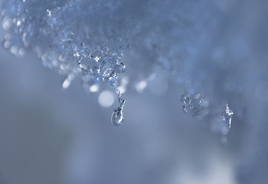 drip, cold, water, nature, frozen, ice, frost, winter, snow HD wallpaper