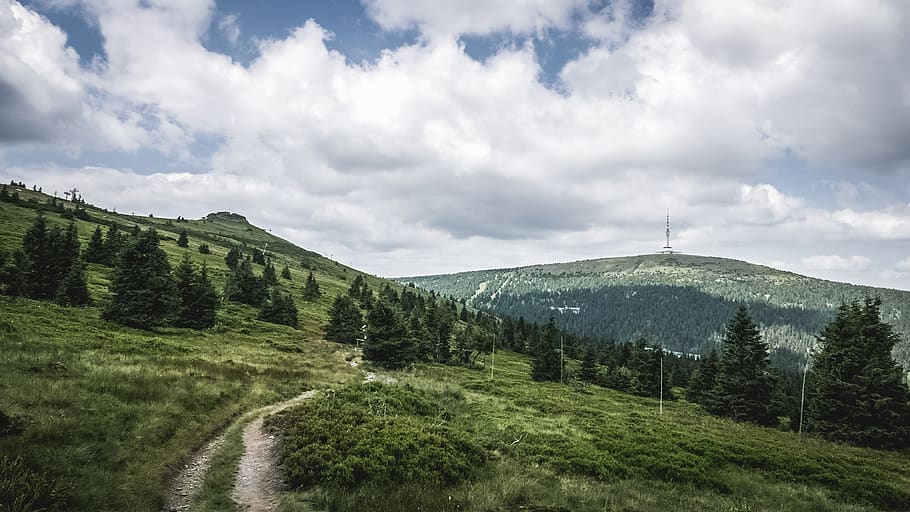 trees, forest, nature, landscape, rock, stone, tower, view HD wallpaper