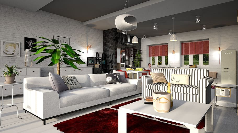 red, white, black, living, room, plant, flowers, the interior of the HD wallpaper