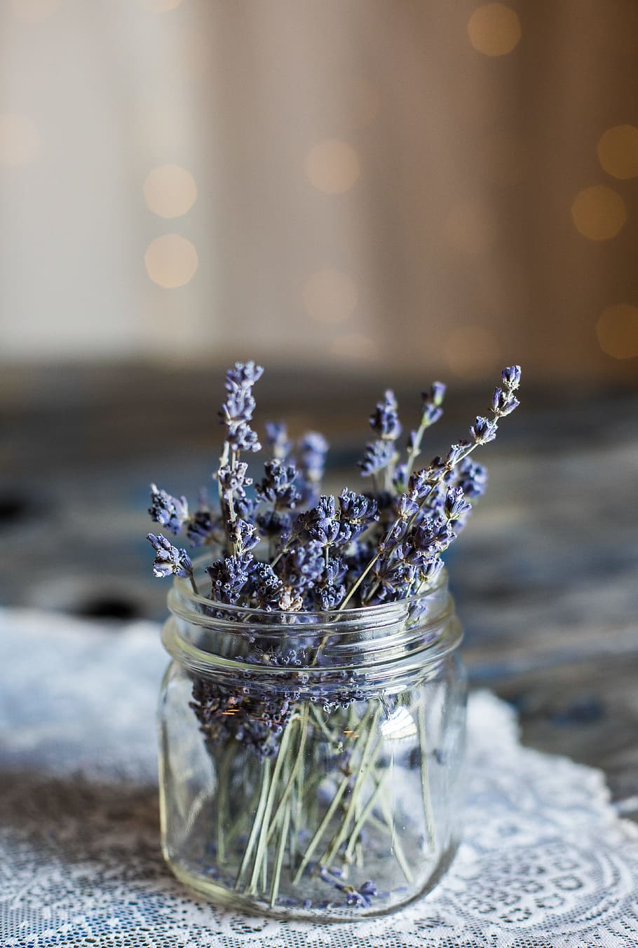 selective focus photography of blue petaled flowers in clear glass jar, HD wallpaper