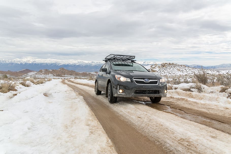 4x4, offroad, peak, tree, moutain, snow, live, outdoor, travel HD wallpaper