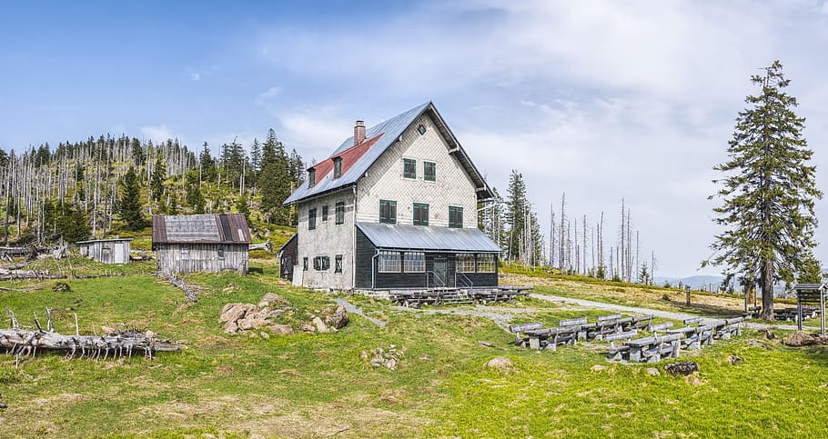 White House Near Pine Trees, architecture, barn, building, bungalow HD wallpaper