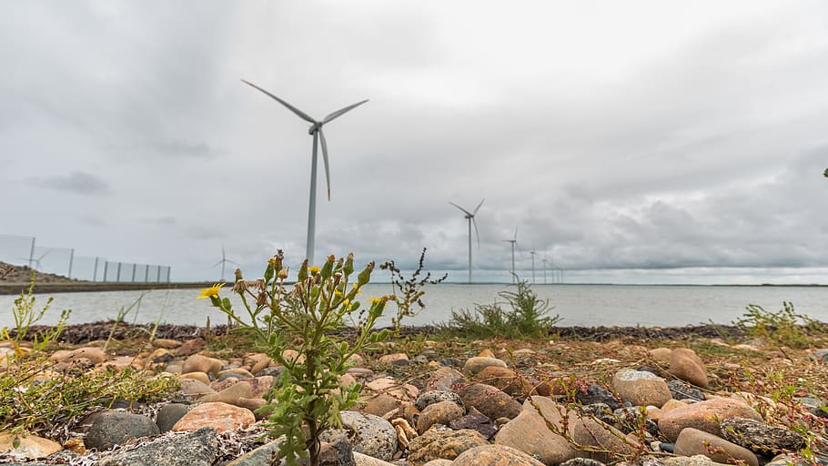 windräder, current, energy, wind energy, wind power, environmental technology HD wallpaper