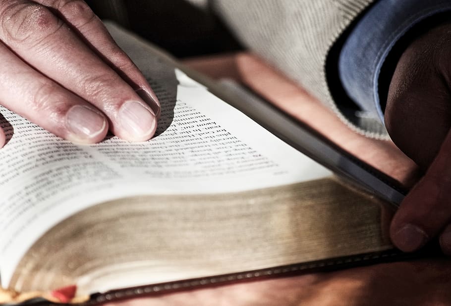 read, study, book, education, religion, human hand, human body part HD wallpaper
