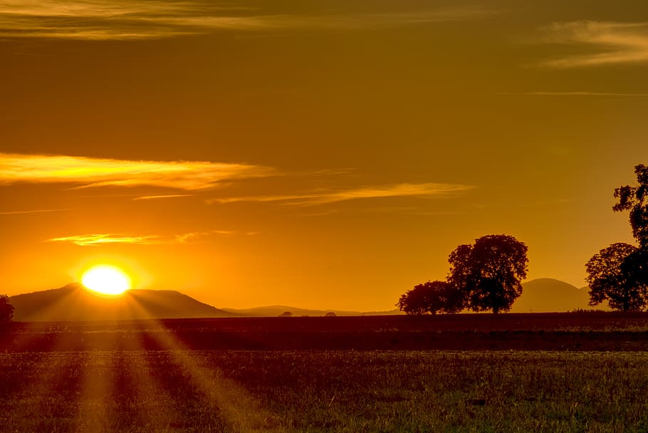 sunset, light star, trees, nature, mood, sky, landscape, dusk HD wallpaper