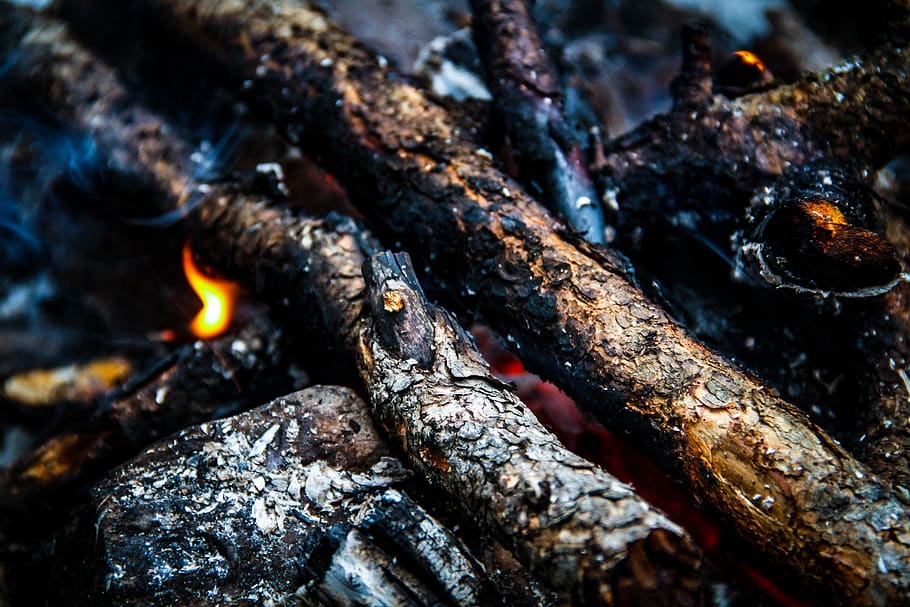 brown firewood, burning, fire - natural phenomenon, heat - temperature HD wallpaper