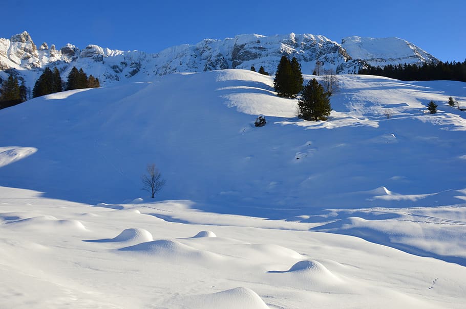 winter, snow, cold, alpine, snowflake, wintry, winter magic HD wallpaper