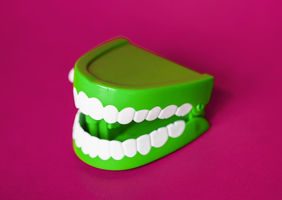 artificial, background, bite, bright, colored background, studio shot HD wallpaper