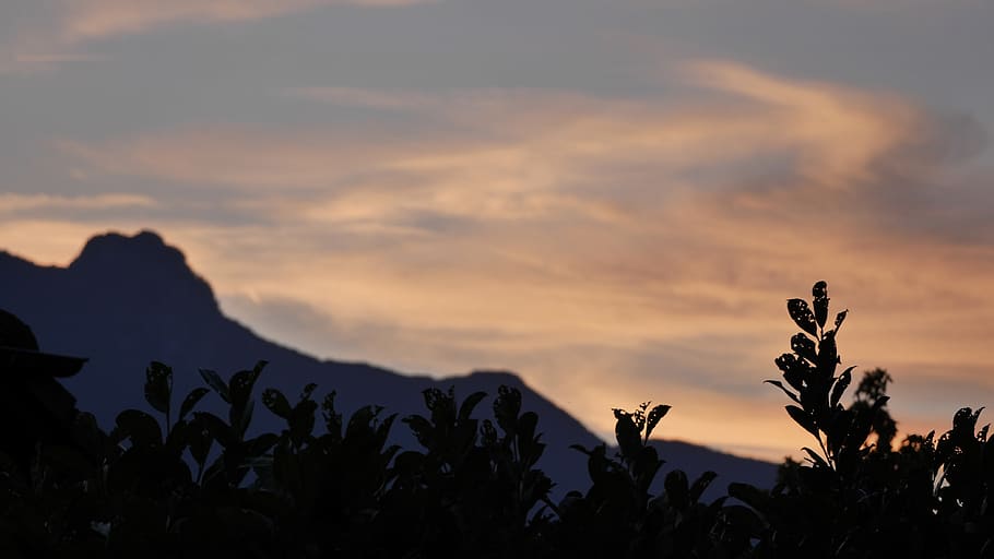 hdwallpaper, background, sky, mountains, cloud, plants, landscape HD wallpaper
