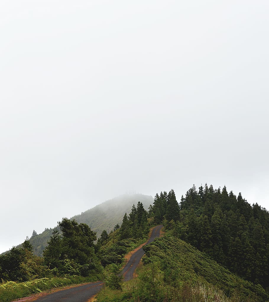 mountain ranges covered in white fog, road, forest, green, pine HD wallpaper