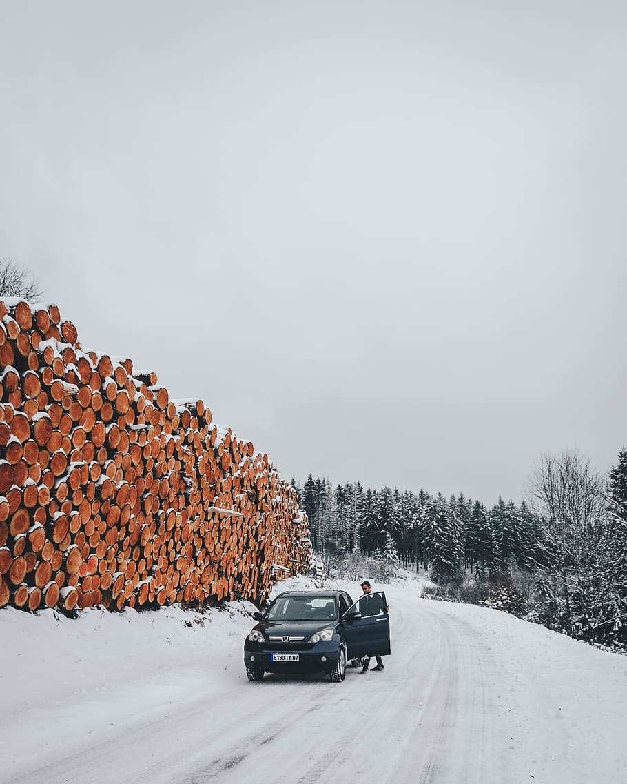 Black Vehicle on Snowfield Near Logs, car, cold, daylight, daytime HD wallpaper