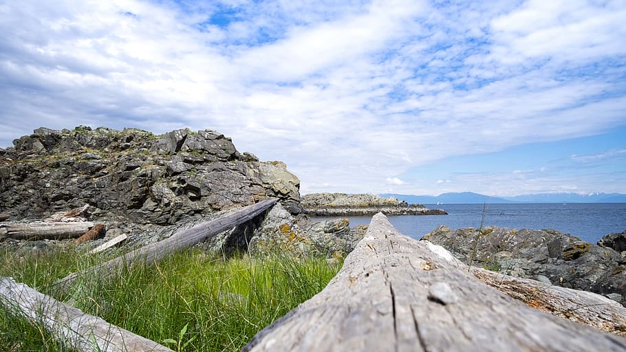 nanaimo, canada, mountains, pacific northwest, ocean, driftwood, HD wallpaper
