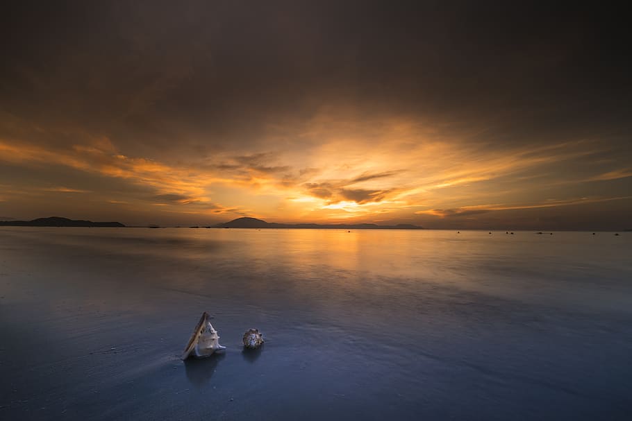 Two Sconce Shells at the Beach during Sunset, clouds, cloudscape HD wallpaper