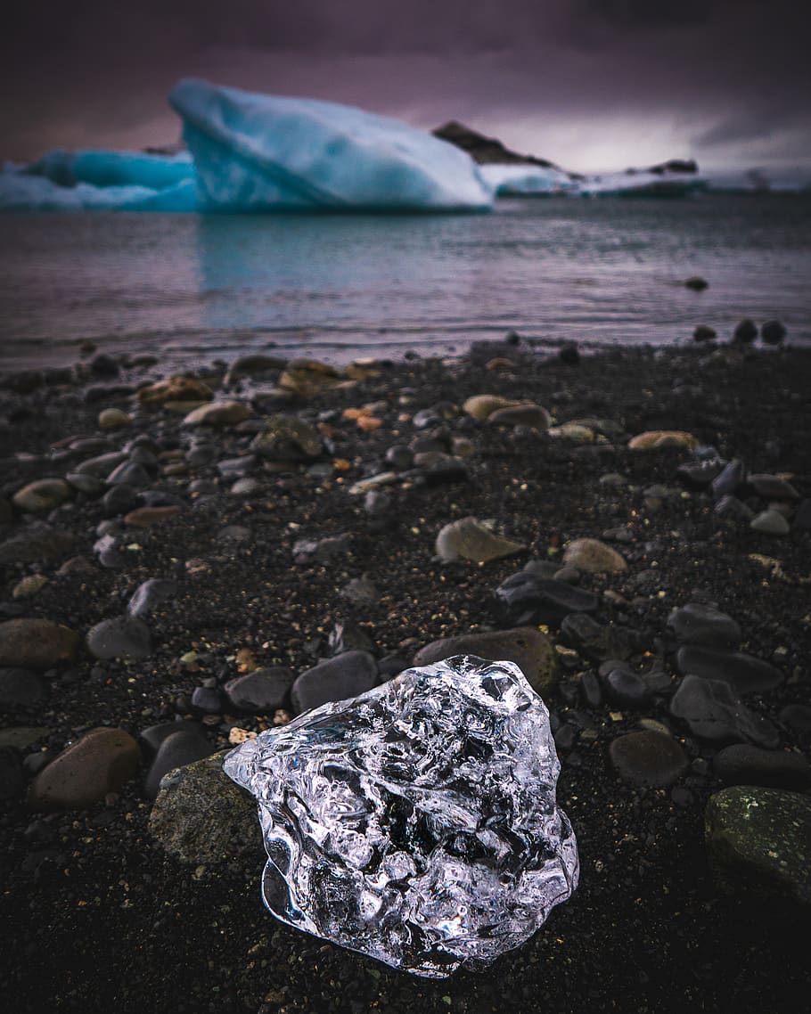 ice on rocky shore, iceland, jökulsárlón, bird, animal, outdoors, HD wallpaper