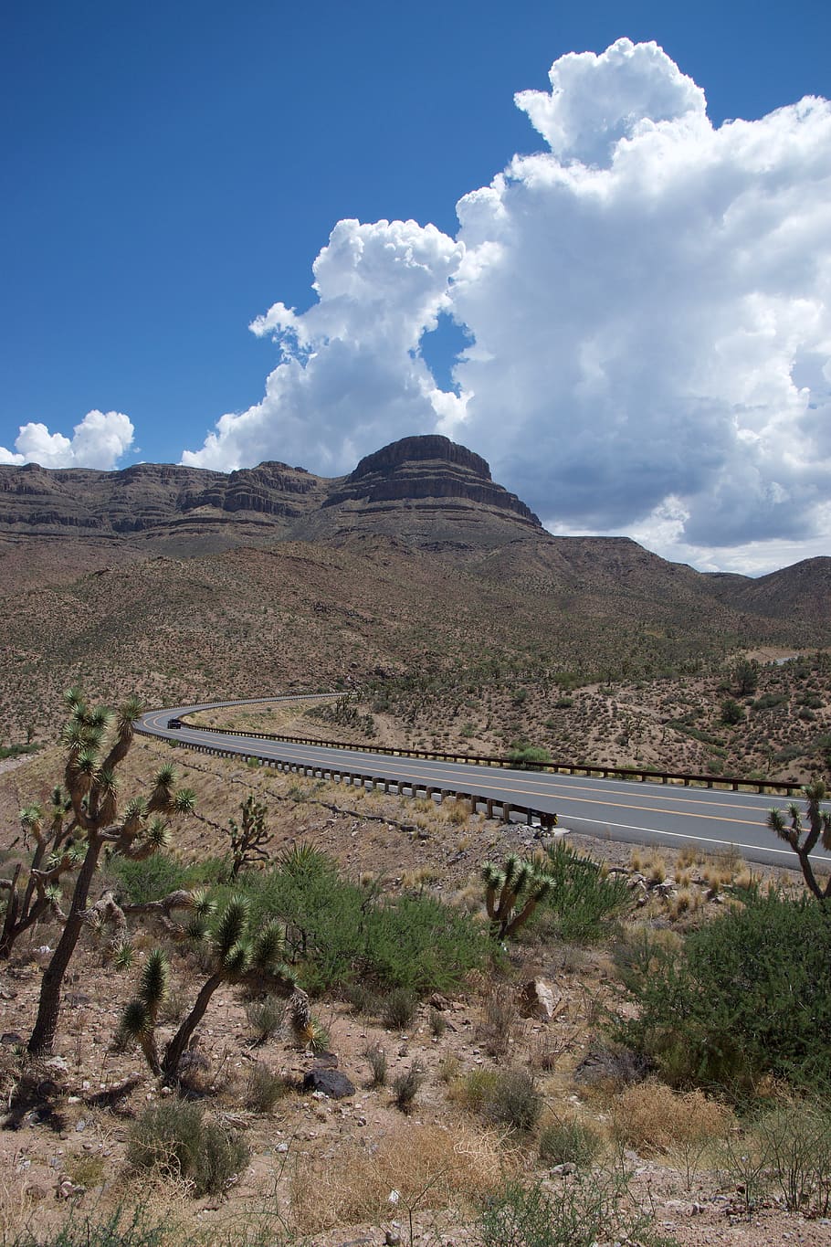 road, desert, clouds, cactus, sands, dry, rock, usa, outdoor HD wallpaper