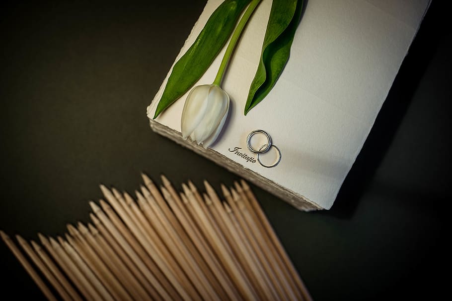 brown sticks beside box, incense, plant, wood, photography, flower HD wallpaper