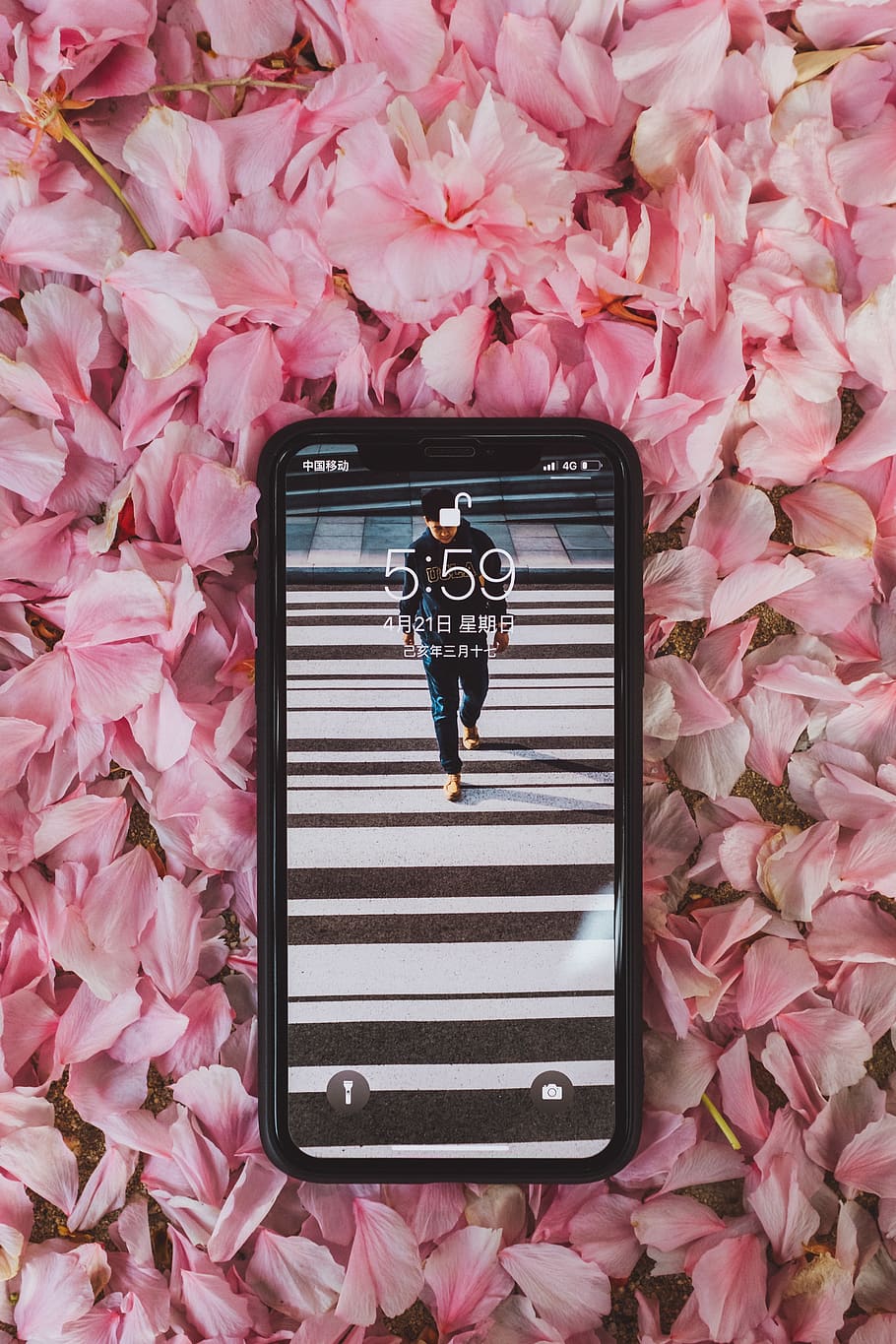 human, person, phone, electronics, mobile phone, cell phone HD wallpaper