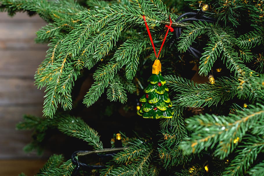 green Christmas tree bauble, plant, conifer, ornament, pine, abies HD wallpaper