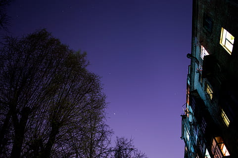 belarus, minsk, night, tree, build, sky, building exterior HD wallpaper