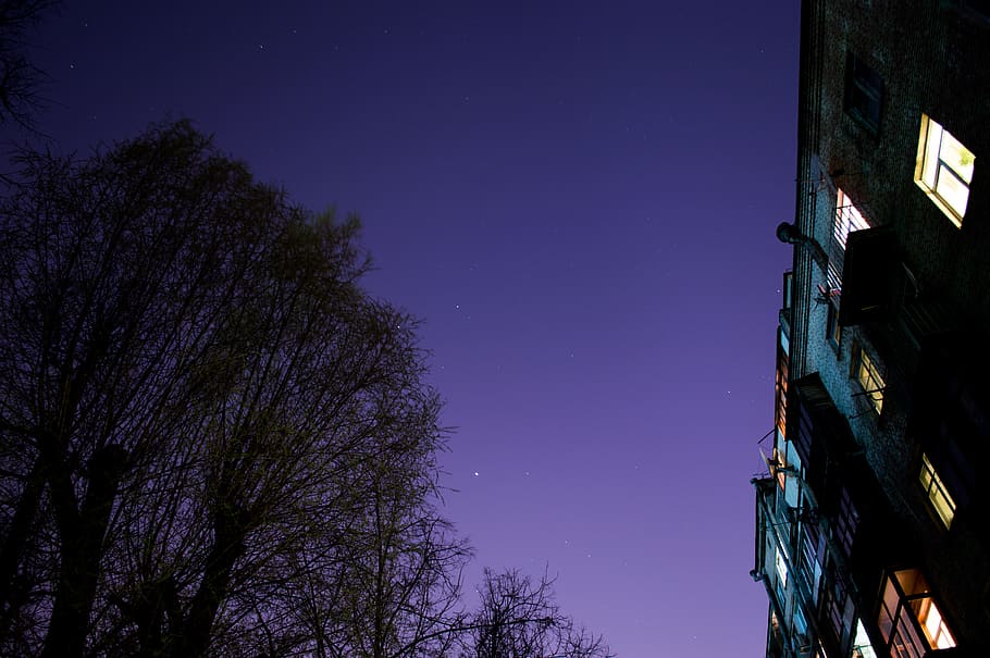 belarus, minsk, night, tree, build, sky, building exterior HD wallpaper