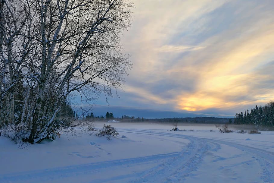 sunset, landscape, winter, nature, snow, cold, gel, trees, birch HD wallpaper