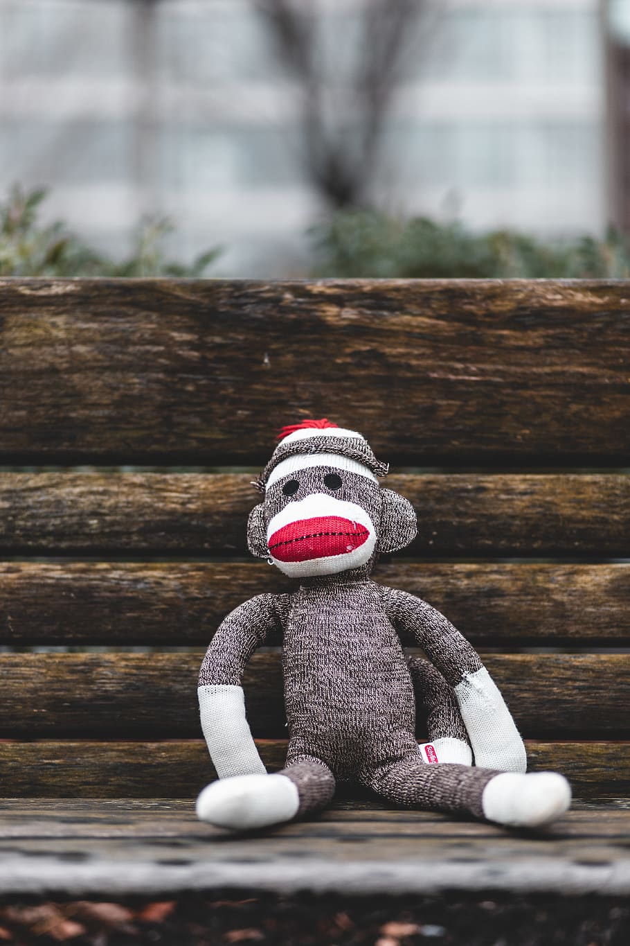 gray and white monkey plush toy sitting on wooden bench, house